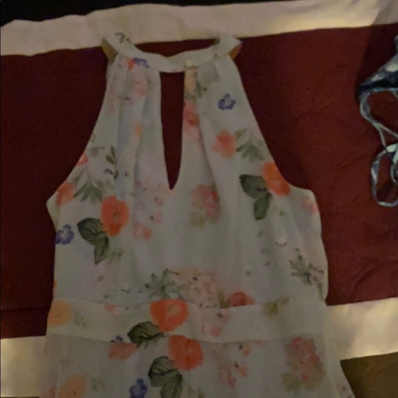 Express Dress - Picture 2 of 3